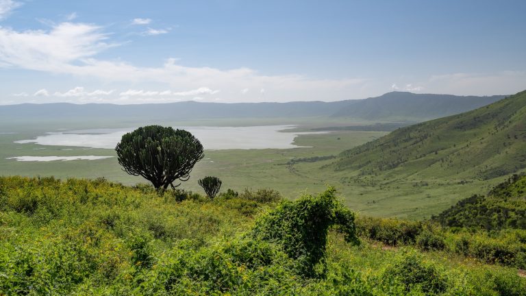 Ngorongoro Conservation Area
